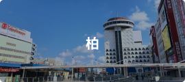 柏