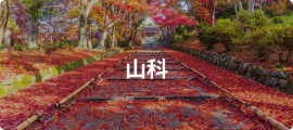 山科